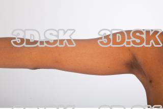 Arm reference of nude Cecelia 0002